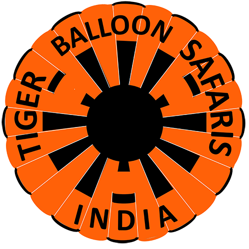 hot air balloon safari in india